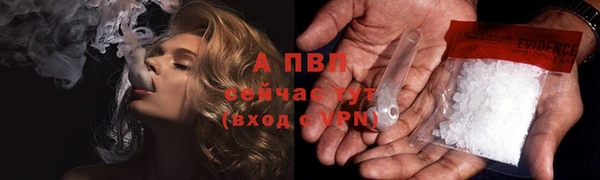 индика Пересвет
