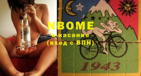 индика Пересвет