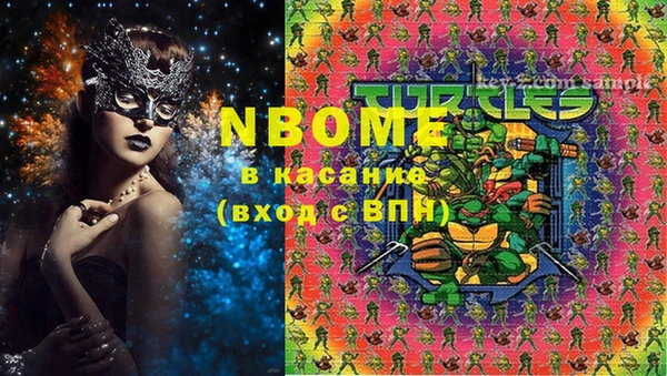 индика Пересвет