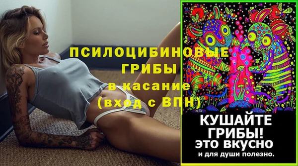 мескалин Осташков