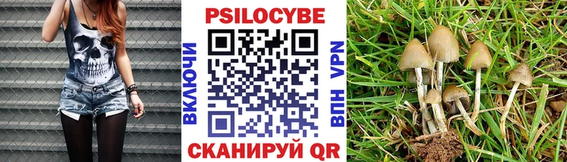 Псилоцибиновые грибы ЛСД  Туринск 